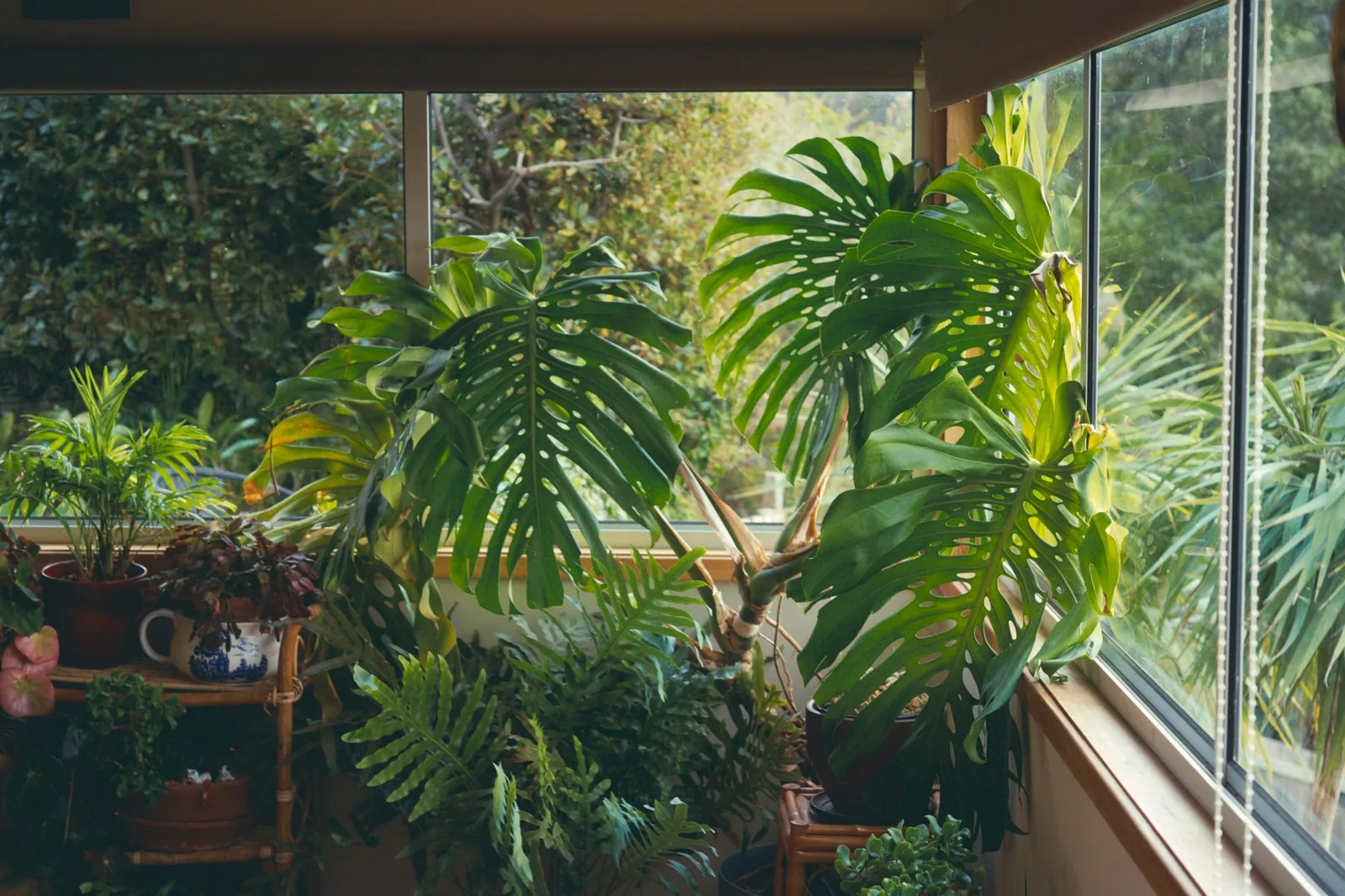 Sunroom vs addition cost comparison table and glass enclosure options