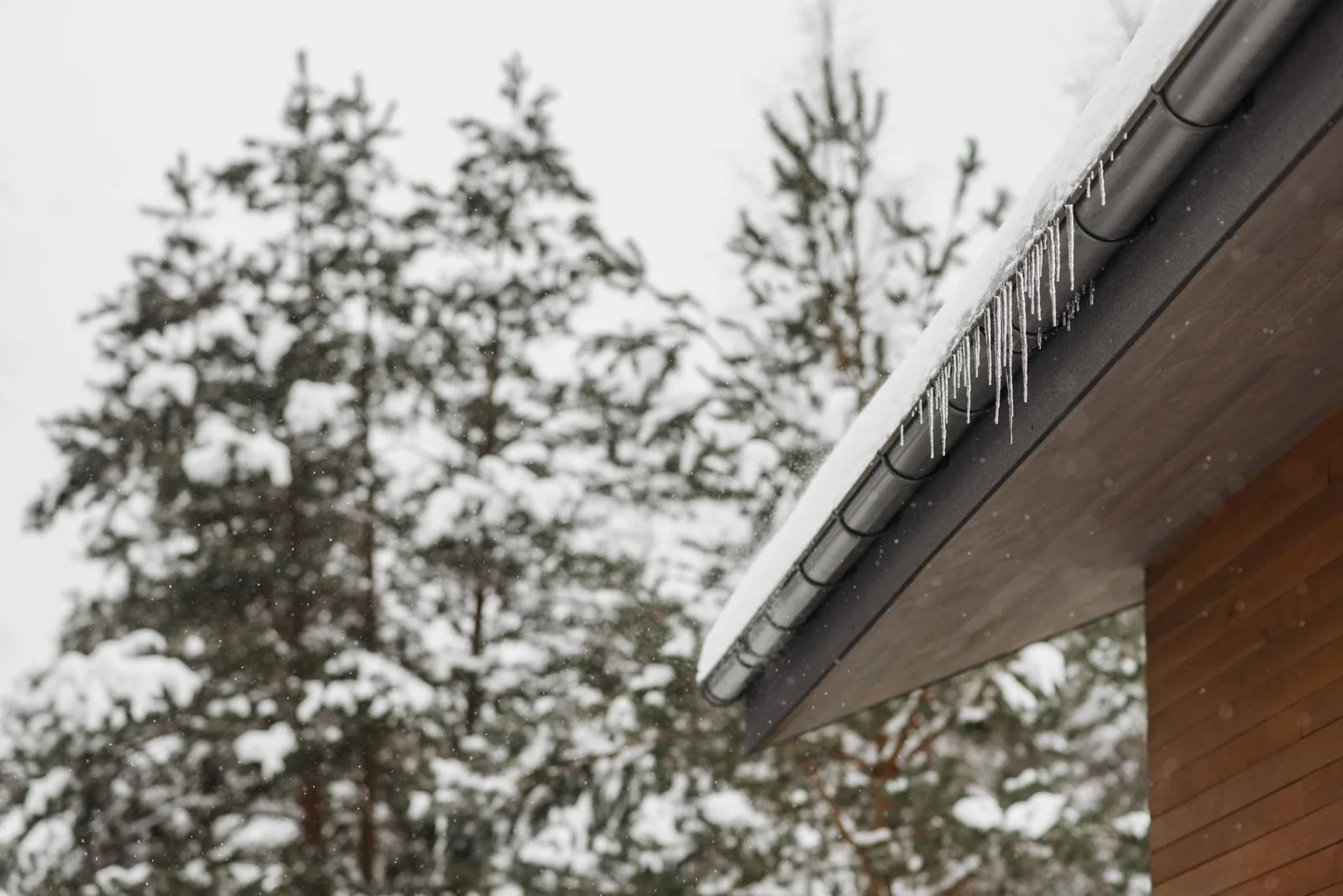 gutter guard vs gutter cover installed on a home's roofline