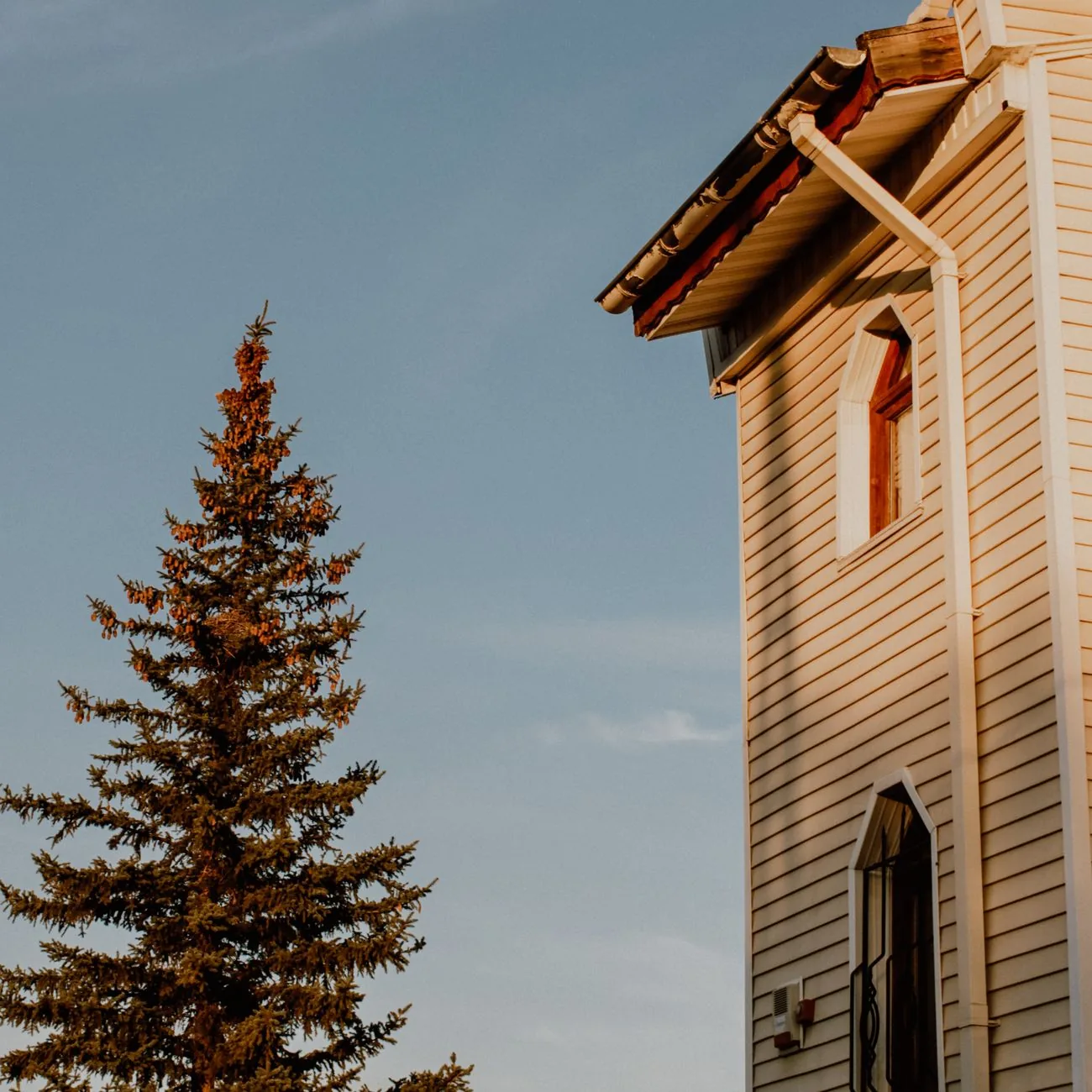 Vinyl vs aluminum gutters installed on a home exterior