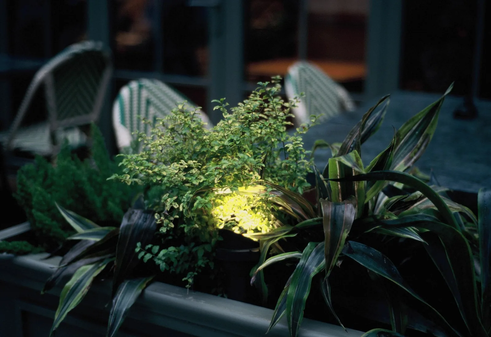 landscape lighting cost