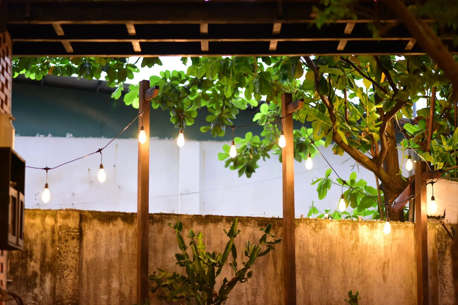 Landscape lighting ideas for backyard with warm path lights