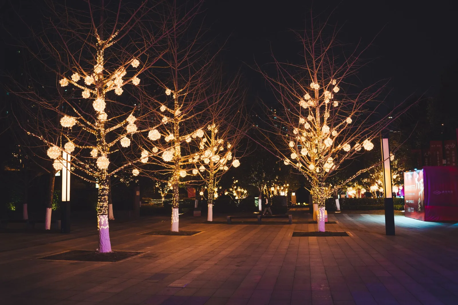 landscape lighting ideas for trees