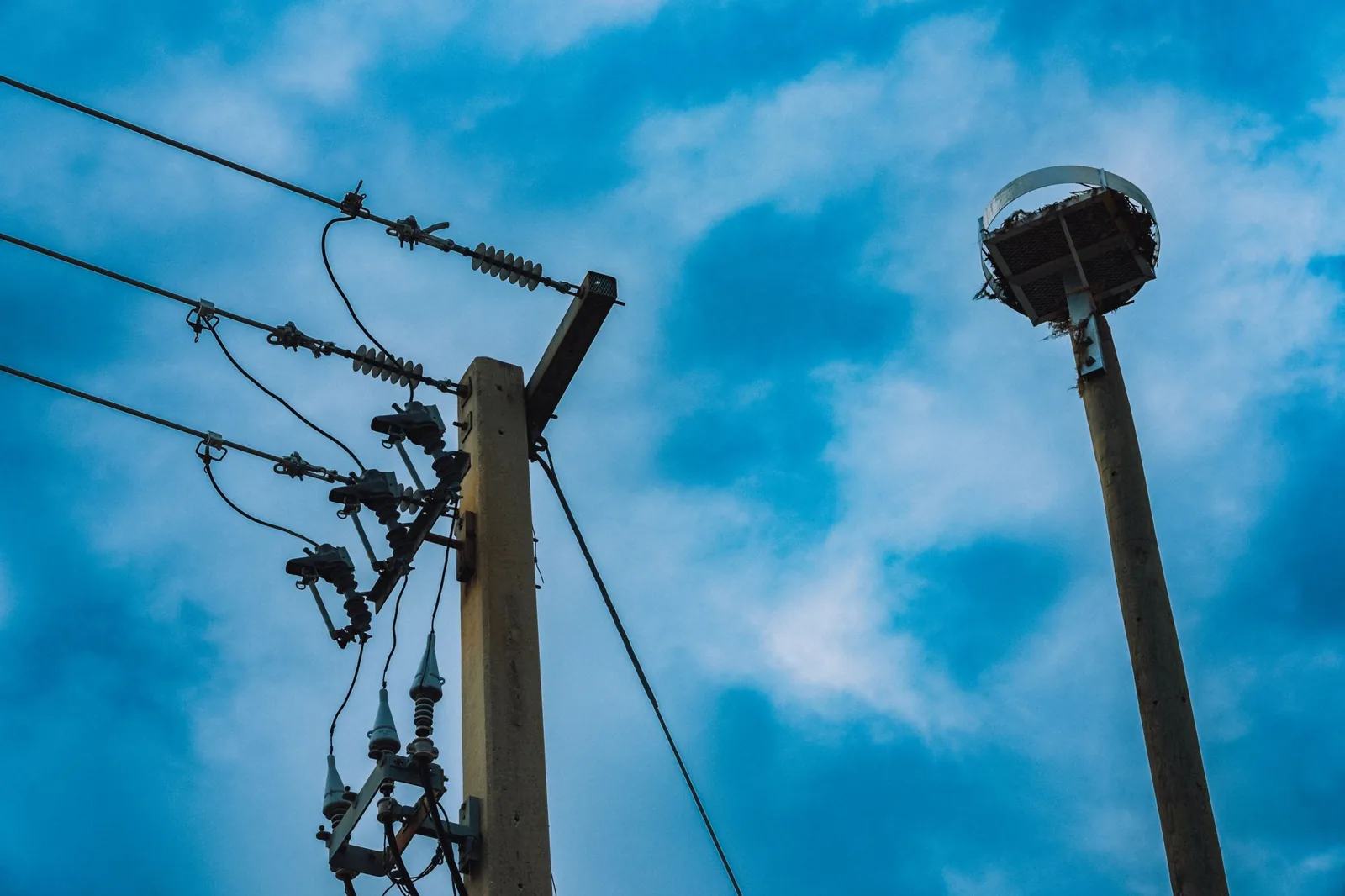 Low voltage lighting cost varies by fixture quality and project size