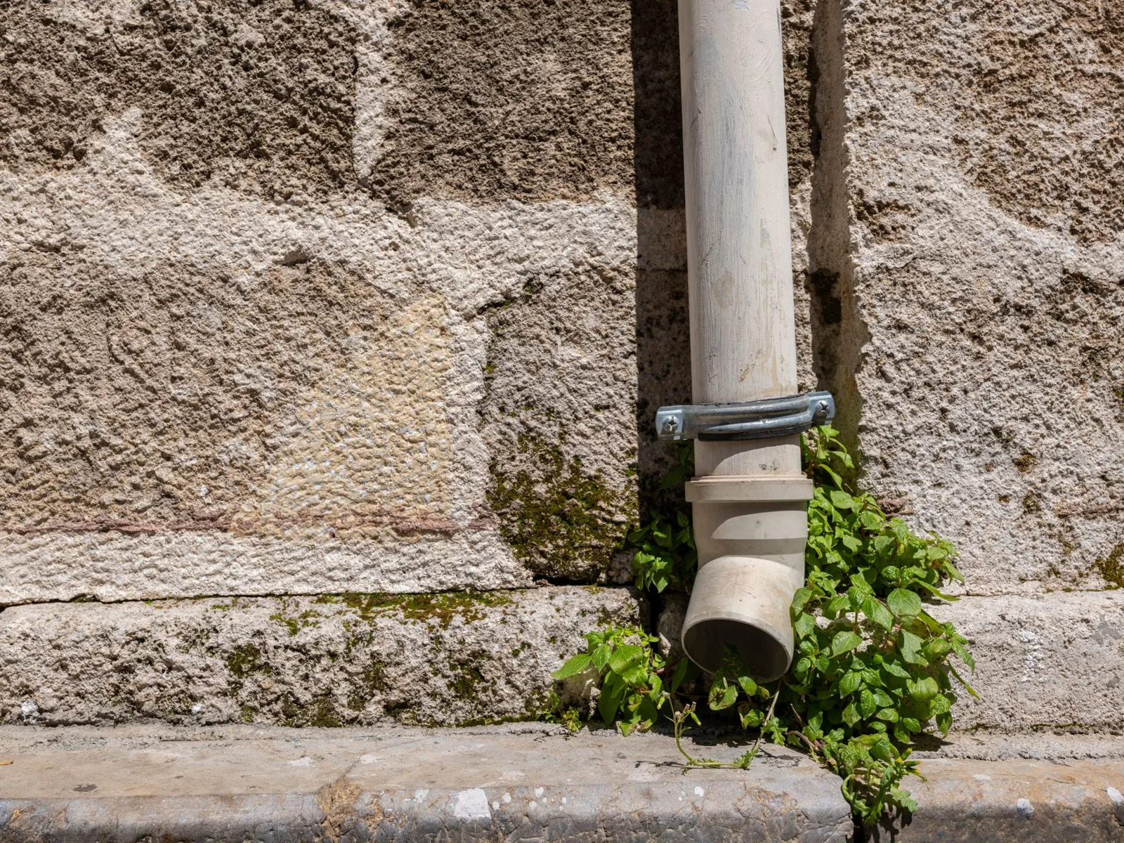 buried downspout drain line and pop-up emitter