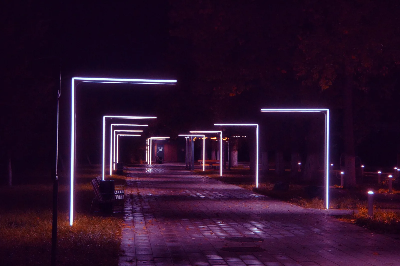 Landscape lighting along a garden path