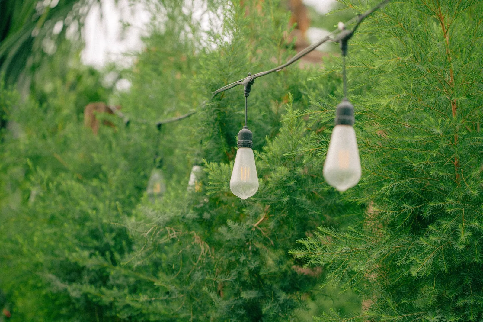 low voltage landscape lighting fixtures and transformer