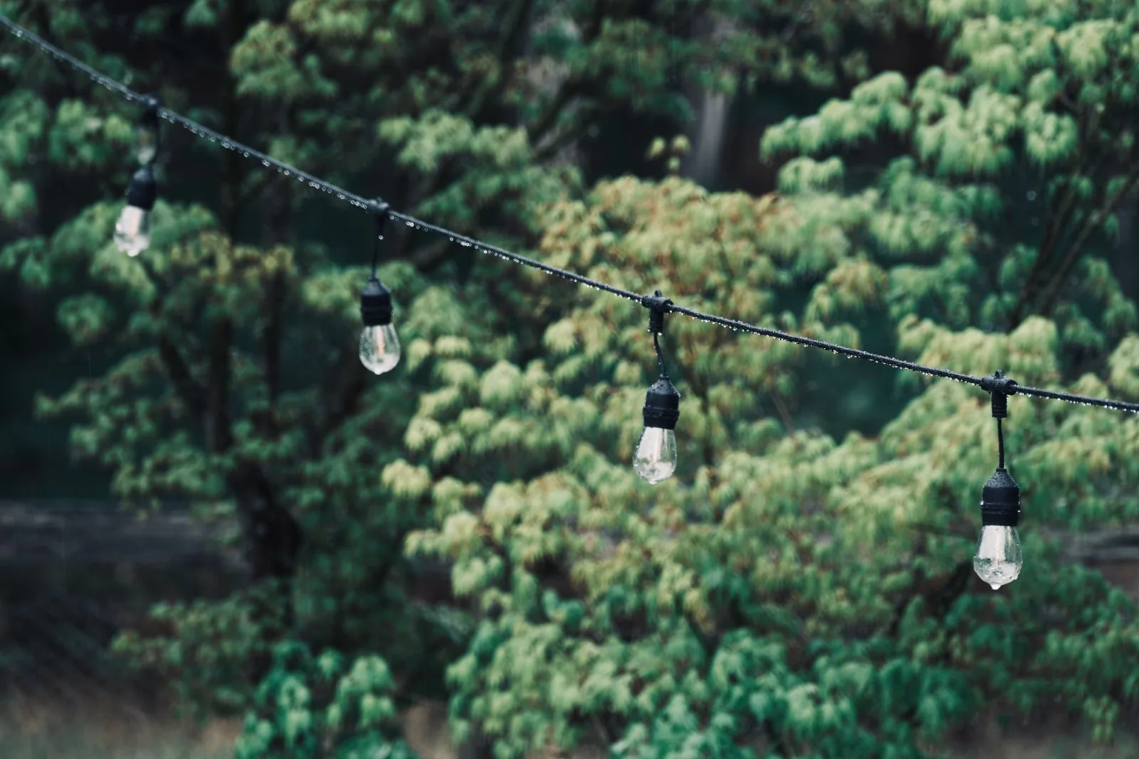 Warm low-voltage path lights lining a backyard walkway