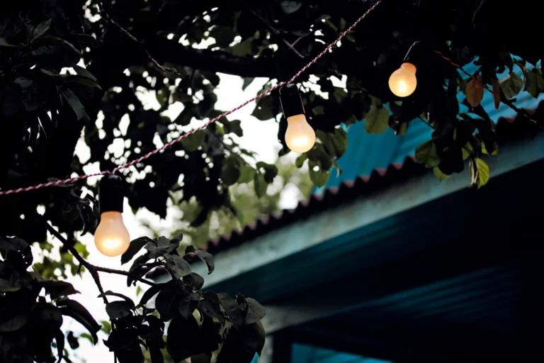 Landscape Lighting Ideas for Backyard