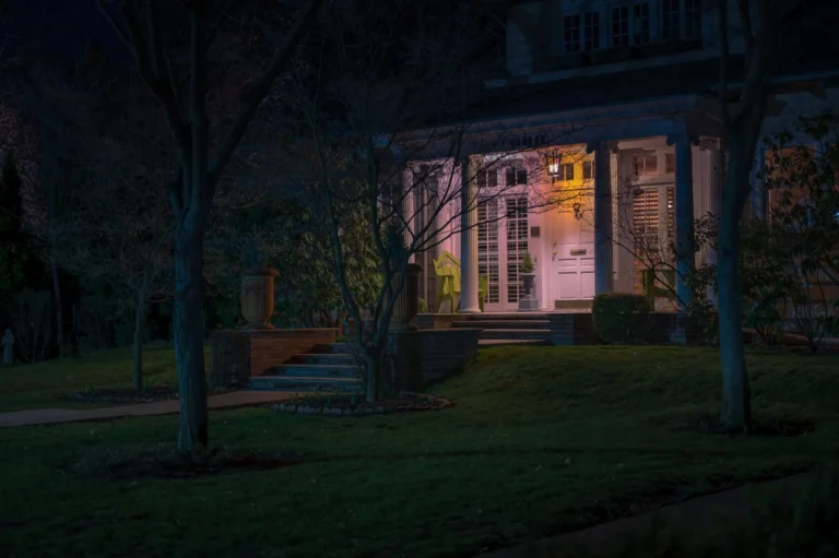 Landscape Lighting Ideas for Trees: Highlight Your Yard’s Best Features
