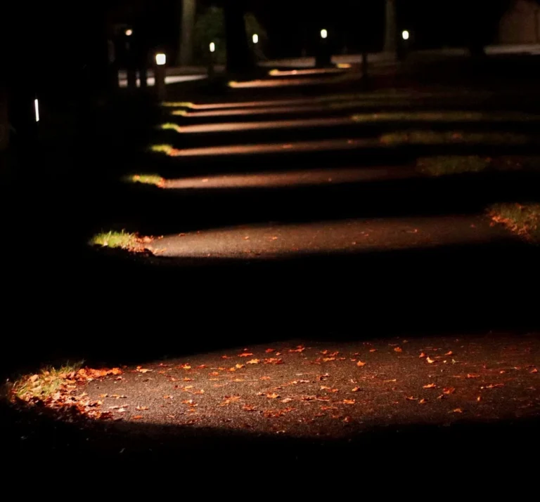 Path Lighting Ideas: 15 Ways to Light Walkways and Driveways