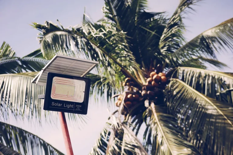 Solar Lights vs Low Voltage: Cost, Brightness, and Installation Compared
